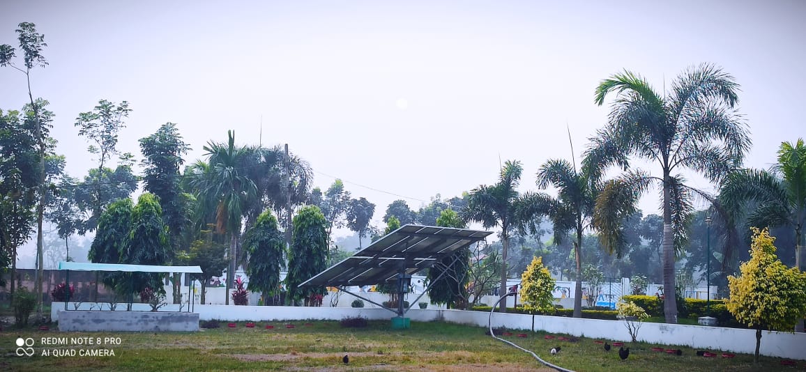 Greenfield Public School campus glimpse 2